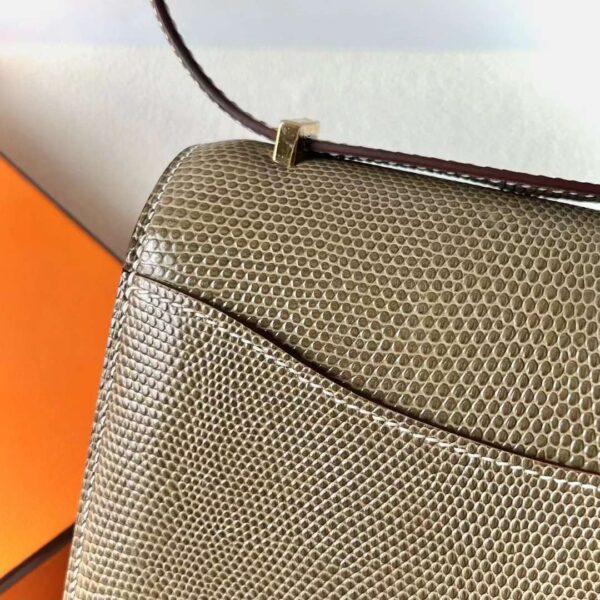 mmexport1713776891570 DDMode Bags Constance Lizard Ck17 taupe Gold Hardware 18cm Full Handmade Ghw