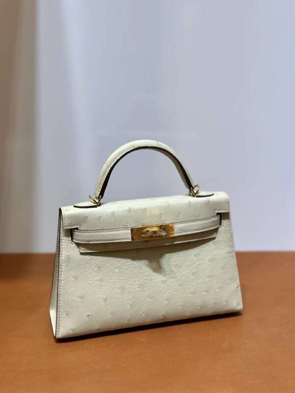 mmexport1718003700129-1 DDMode Yupoo Mini Kelly Ostrich 3C Wool white Gold Hardware 19cm Full Handmade Ghw