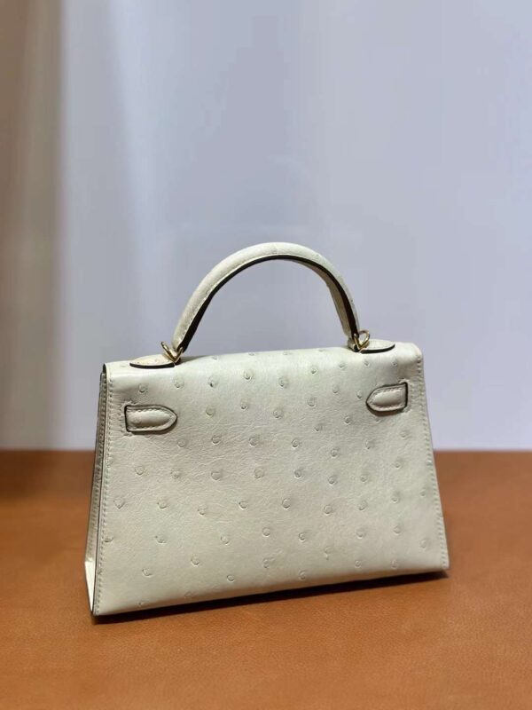 mmexport1718003701424 DDMode Yupoo Mini Kelly Ostrich 3C Wool white Gold Hardware 19cm Full Handmade Ghw