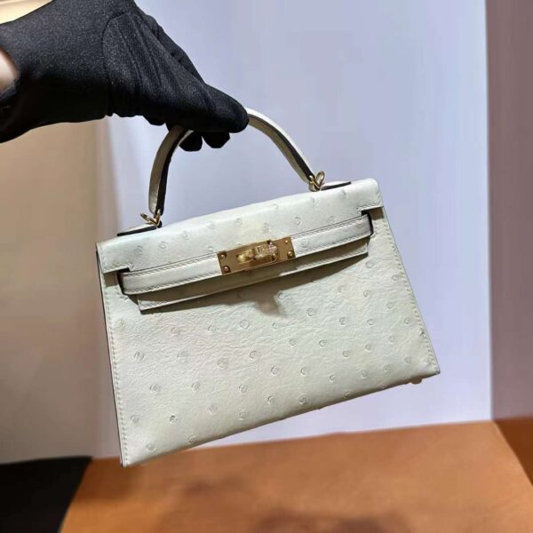 mmexport1718003710015 DDMode Yupoo Mini Kelly Ostrich 3C Wool white Gold Hardware 19cm Full Handmade Ghw