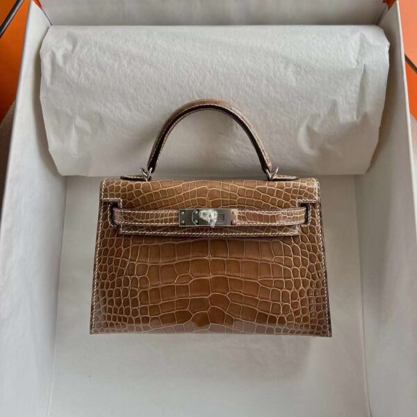 mmexport1718505103060 DDMode Mini Kelly Shiny Alligator Crocodile Ck17 Tobacco brown Silver Hardware 19cm Full Handmade Phw