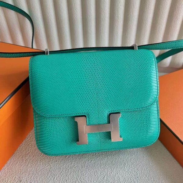 mmexport1724339683076-1 DDMode Constance Lizard 6W turquoise Green Silver Hardware 18cm Full Handmade Phw