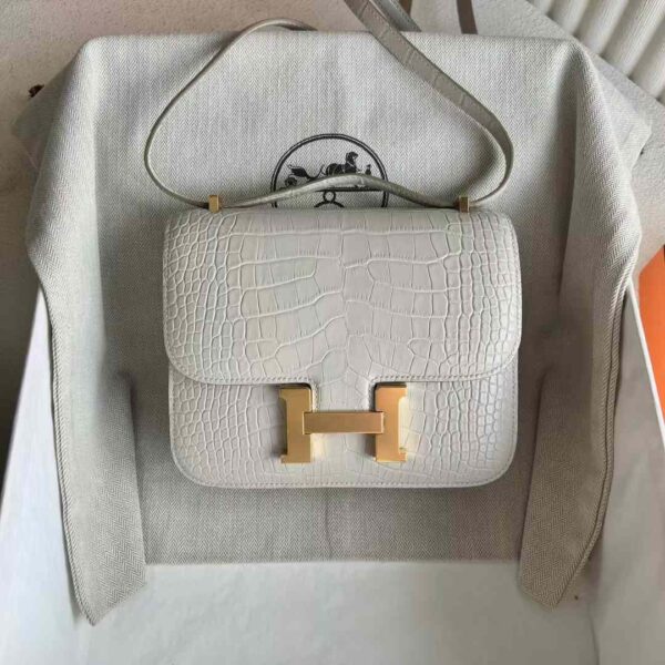 mmexport1730645703048 DDMode Constance Matte Alligator Crocodile 8L Ice White Gold Hardware 18cm Full Handmade Ghw
