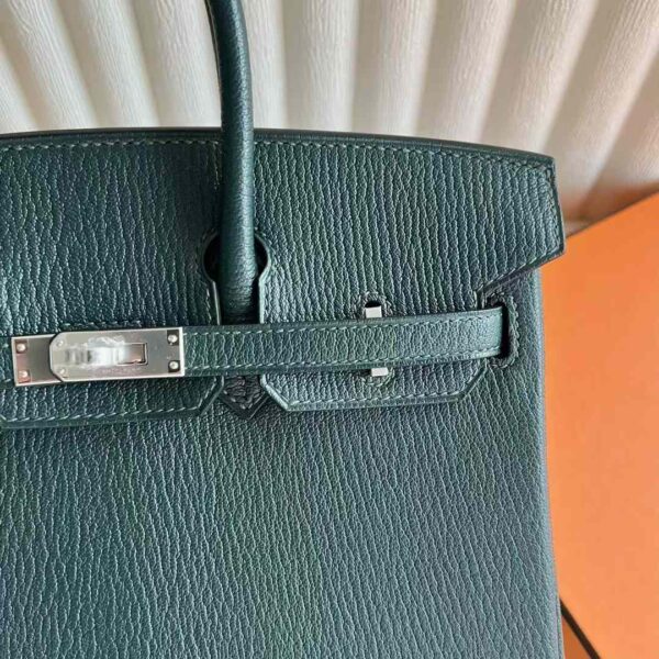 mmexport1733409206851 DDMode Reddit Birkin Chevre Leather 6O Pine green Silver Hardware 25cm Full Handmade Phw