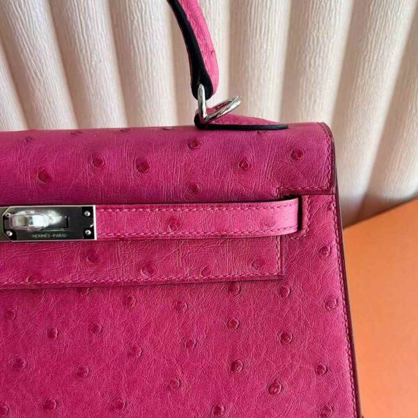 mmexport1736995506699 DDMode Bags Kelly Ostrich Leather E5 Candy Pink Silver Hardware 25cm Full Handmade Phw