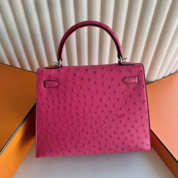mmexport1736995509784 DDMode Bags Kelly Ostrich Leather E5 Candy Pink Silver Hardware 25cm Full Handmade Phw
